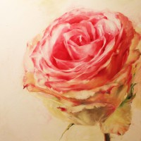 /album/obrazy1/rose-pink-900x900-canvas-jpg/